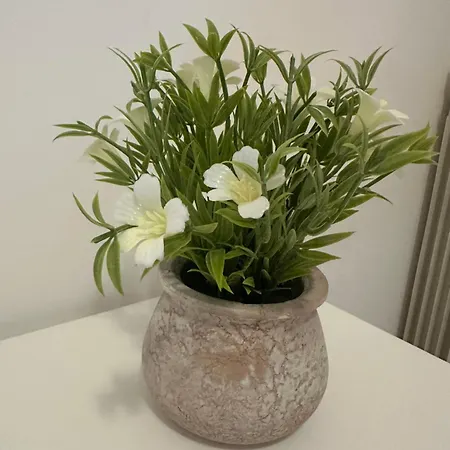 Serenity Apartman Róma