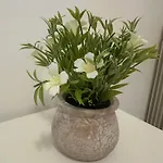 Serenity 아파트 로마